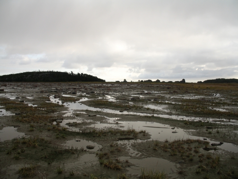 Унежма - жемчужина Русского Севера на берегу Белого моря. Сентябрь 2008. Фото+видео.