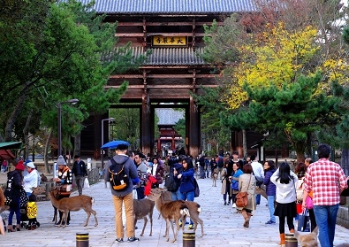 Лучшие достопримечательности Японии в сезон момидзи: Tokyo-Nagoya(Obara,Korankei)-Kyoto-Nara-Osaka