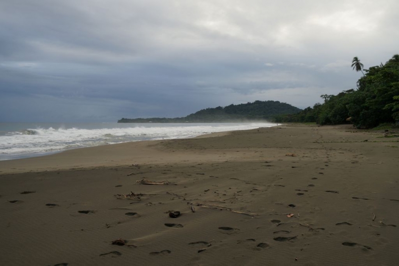 Коста-Рика в самом начале сухого сезона