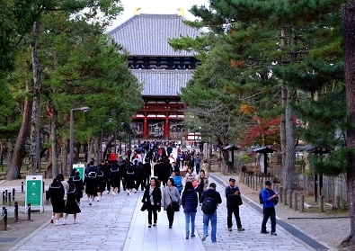 Лучшие достопримечательности Японии в сезон момидзи: Tokyo-Nagoya(Obara,Korankei)-Kyoto-Nara-Osaka