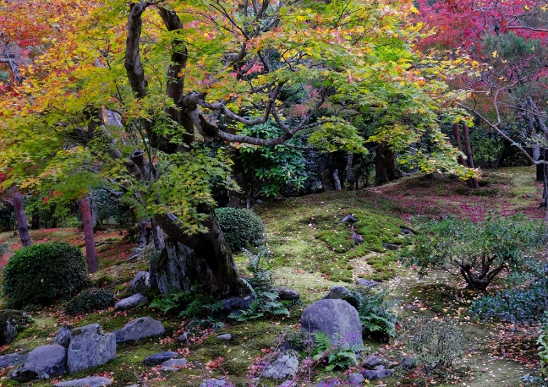 Лучшие достопримечательности Японии в сезон момидзи: Tokyo-Nagoya(Obara,Korankei)-Kyoto-Nara-Osaka