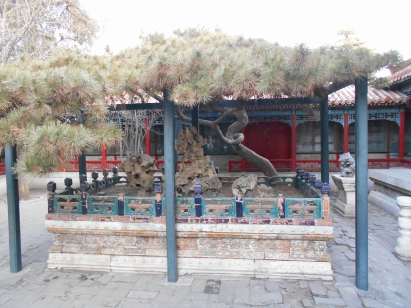 Один день в Пекине