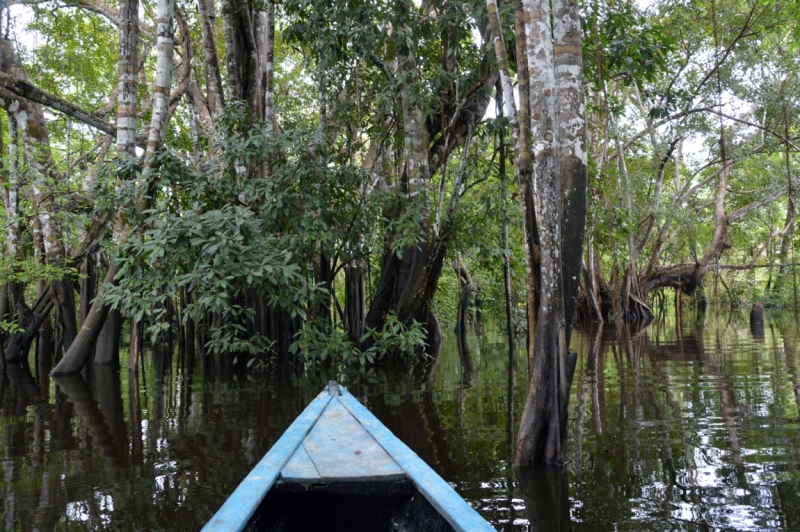 От Летисии до Провиденсии. Колумбия в марте 2015
