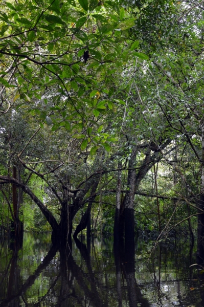 От Летисии до Провиденсии. Колумбия в марте 2015