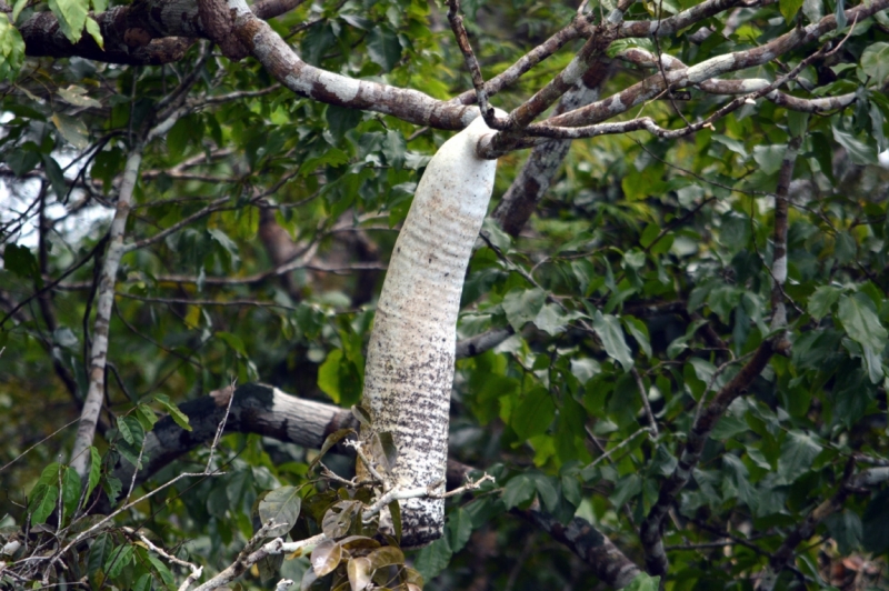 От Летисии до Провиденсии. Колумбия в марте 2015