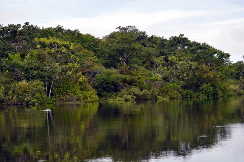 От Летисии до Провиденсии. Колумбия в марте 2015