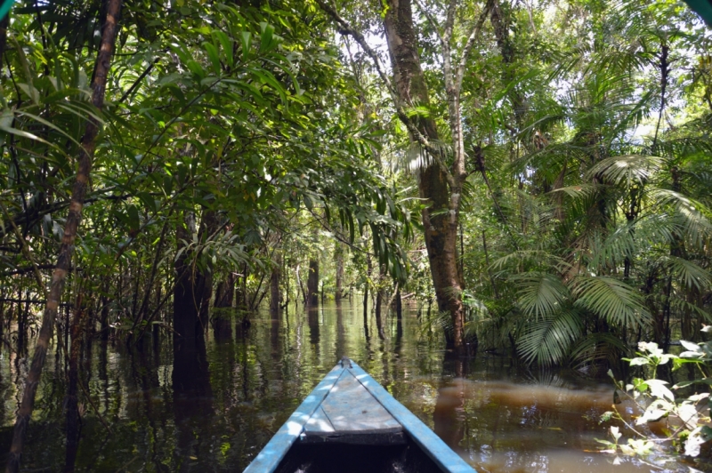 От Летисии до Провиденсии. Колумбия в марте 2015