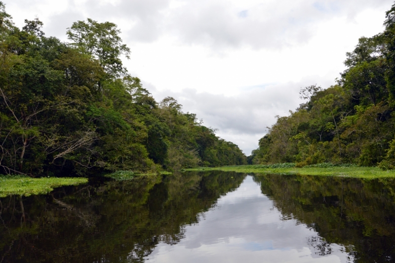 От Летисии до Провиденсии. Колумбия в марте 2015