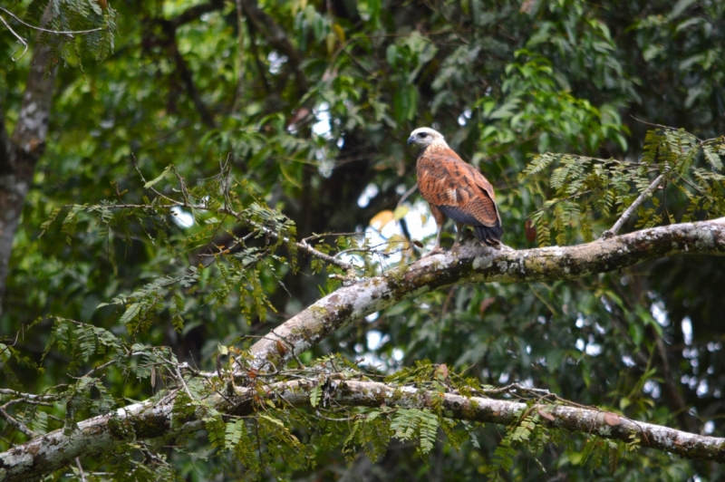 От Летисии до Провиденсии. Колумбия в марте 2015