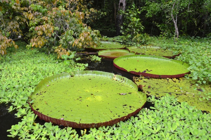 От Летисии до Провиденсии. Колумбия в марте 2015