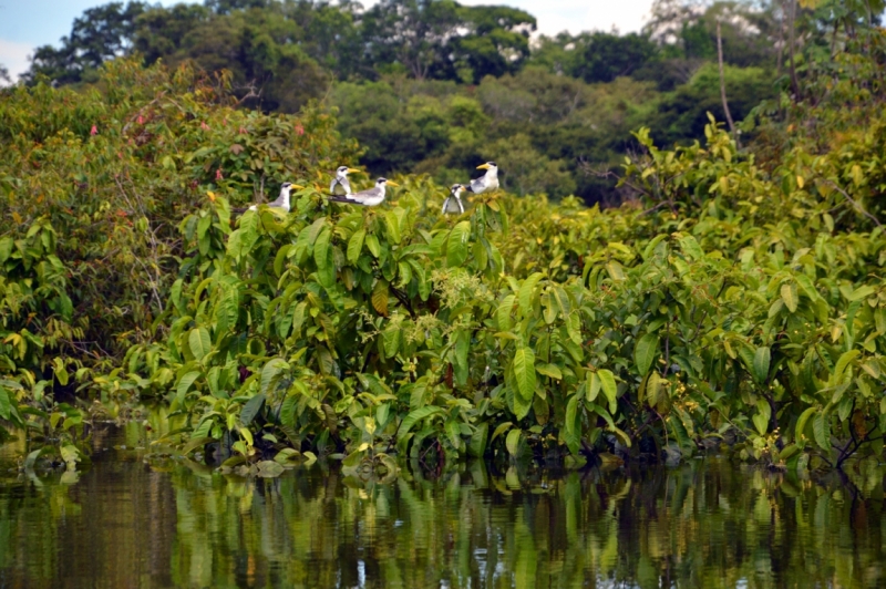 От Летисии до Провиденсии. Колумбия в марте 2015