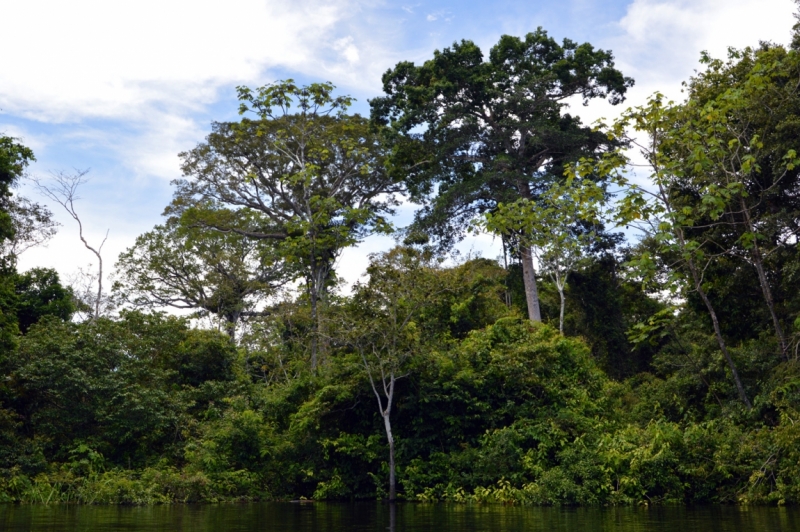 От Летисии до Провиденсии. Колумбия в марте 2015