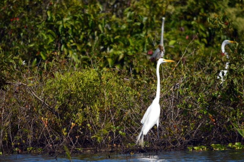 От Летисии до Провиденсии. Колумбия в марте 2015