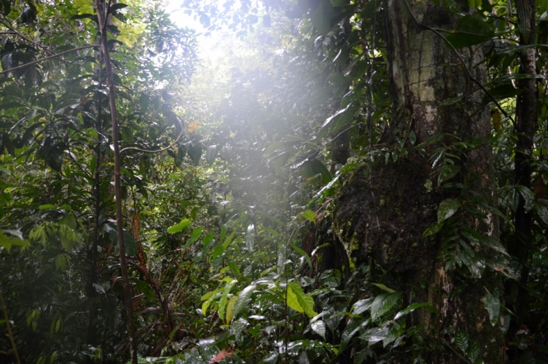 От Летисии до Провиденсии. Колумбия в марте 2015