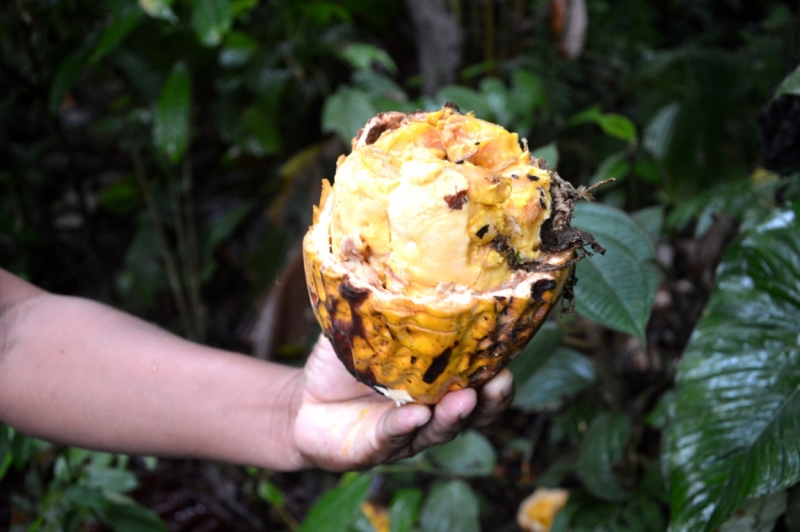 От Летисии до Провиденсии. Колумбия в марте 2015