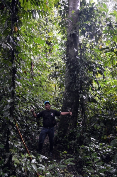 От Летисии до Провиденсии. Колумбия в марте 2015