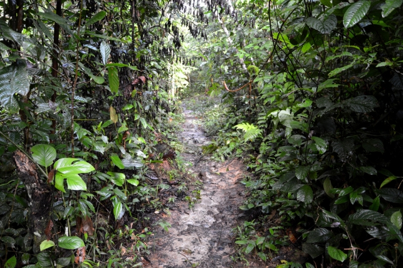 От Летисии до Провиденсии. Колумбия в марте 2015