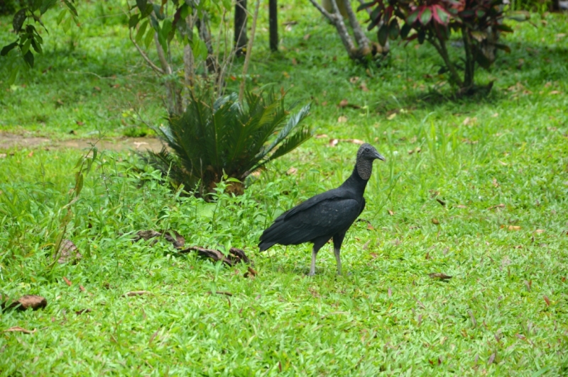 От Летисии до Провиденсии. Колумбия в марте 2015