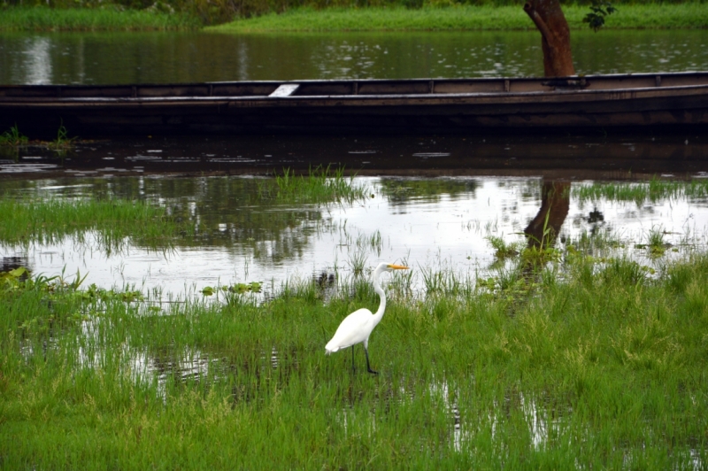 От Летисии до Провиденсии. Колумбия в марте 2015