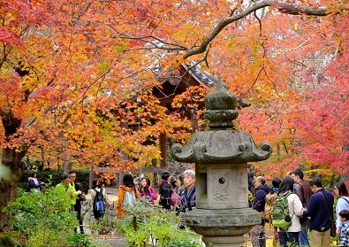 Лучшие достопримечательности Японии в сезон момидзи: Tokyo-Nagoya(Obara,Korankei)-Kyoto-Nara-Osaka