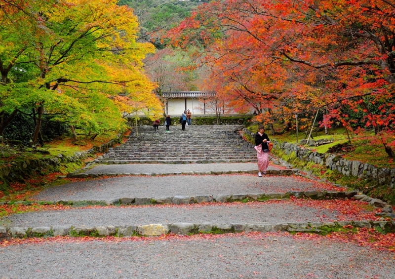 Лучшие достопримечательности Японии в сезон момидзи: Tokyo-Nagoya(Obara,Korankei)-Kyoto-Nara-Osaka