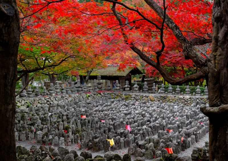 Лучшие достопримечательности Японии в сезон момидзи: Tokyo-Nagoya(Obara,Korankei)-Kyoto-Nara-Osaka