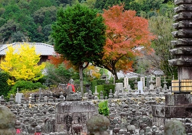 Лучшие достопримечательности Японии в сезон момидзи: Tokyo-Nagoya(Obara,Korankei)-Kyoto-Nara-Osaka