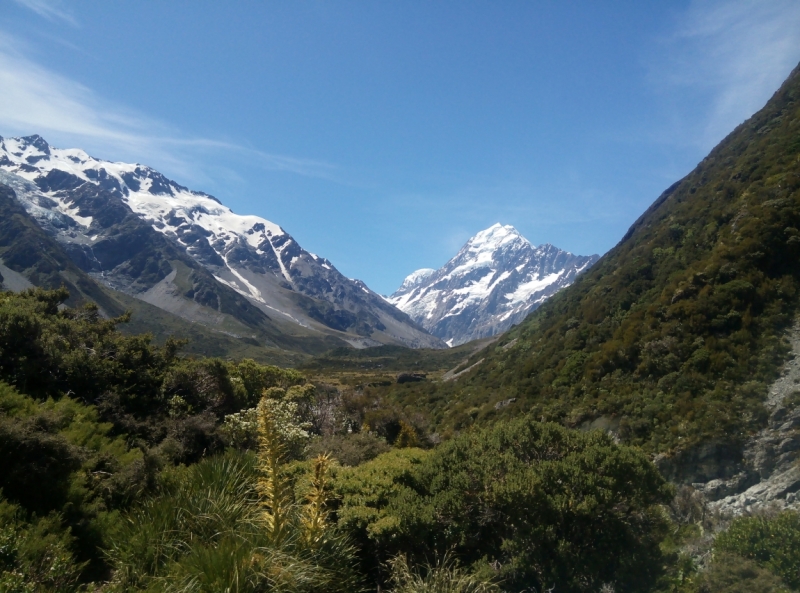 Новая Зеландия: три недели на краю света