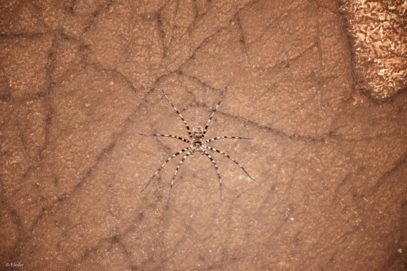 Впечатлениям вдогонку... - север и острова 2015