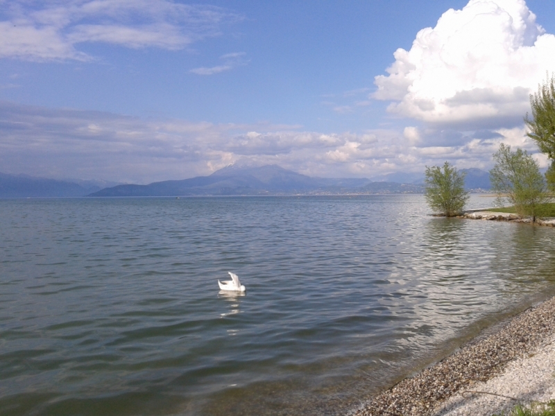 Италия весной или самостоятельное путешествие  с TRENITALIA.