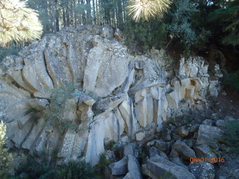 Ему был дан второй шанс, и он очень старался: Эпик, круиз 3-13 января 2016