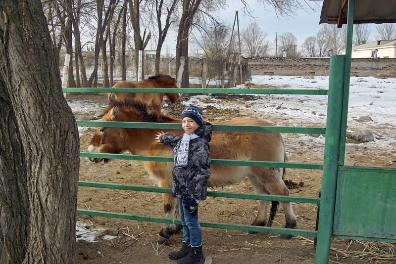 Киргизия на Новый год-2016, на лыжах и не только с ребенком 8 лет