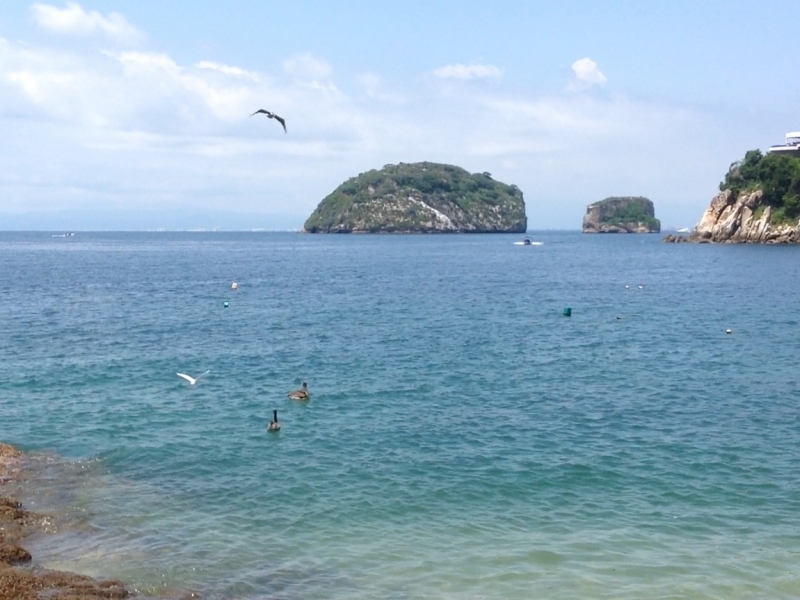 Puerto Vallarta, тихоокеанское побережье Мексики. Белое пятно на сайте Винского.