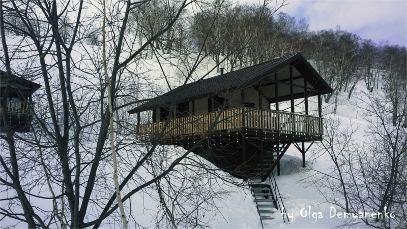 Зимний бюджетный отдых на Камчатке.