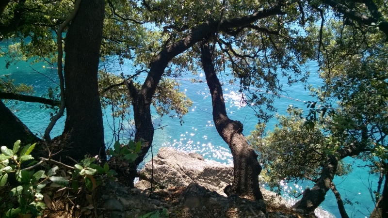 Бергамо-Милан-Генуя-Дезенцано-дель-Гарда-Assenza