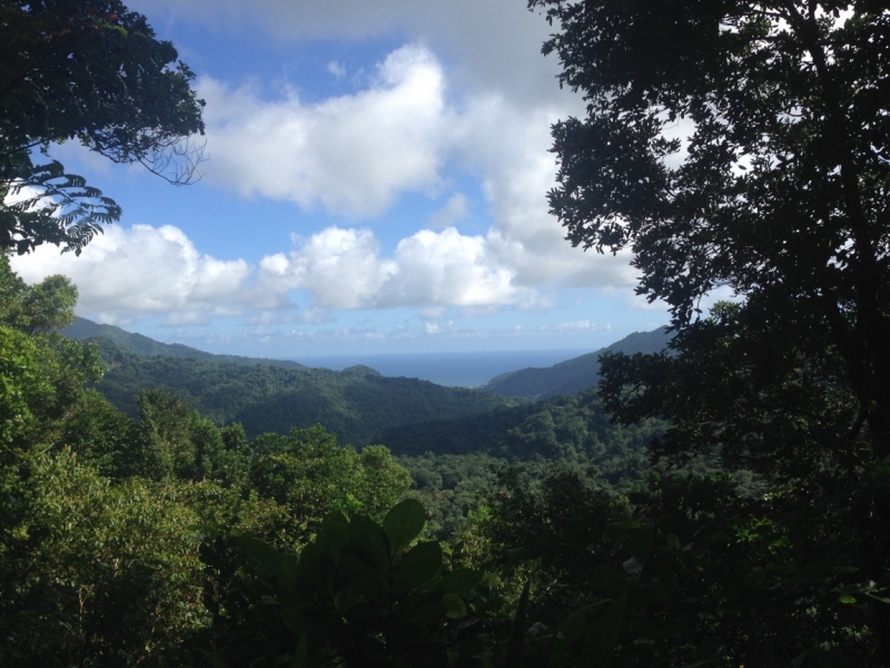 Первый ОФ круиз с Норвежской Брюквой по Карибам: Norwegian Breakaway 3-17 января 2016
