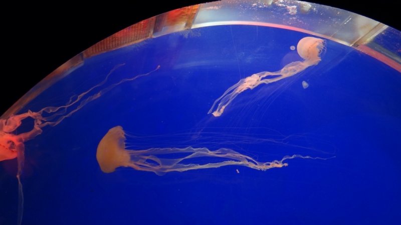 Китайский экспресс на новый год 2016 или 5000 км по Китаю