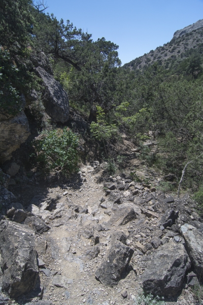 Судак и окрестности, Арпаты и Ялта.