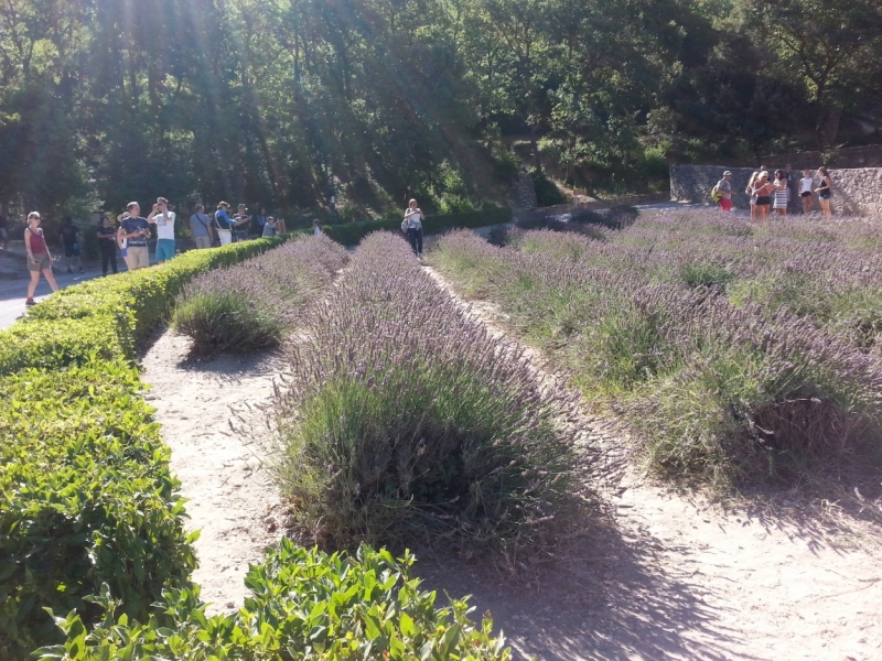 Прованс в июле 2015. Вроде банально, но с загогулиной.