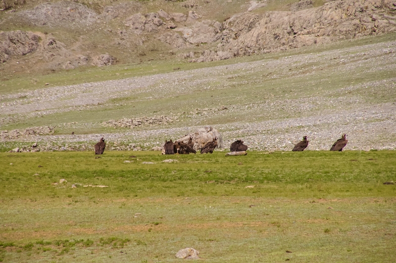 Путешествие по Алтаю на джипах в мае 2014
