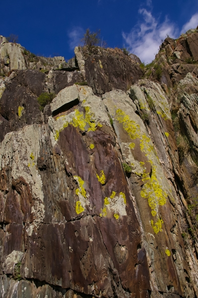 Путешествие по Алтаю на джипах в мае 2014