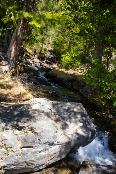 Путешествие по Алтаю на джипах в мае 2014