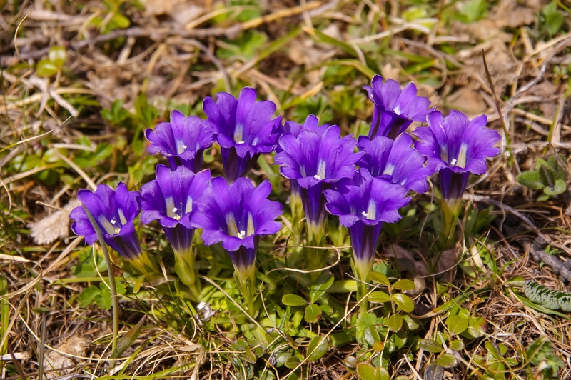 Путешествие по Алтаю на джипах в мае 2014