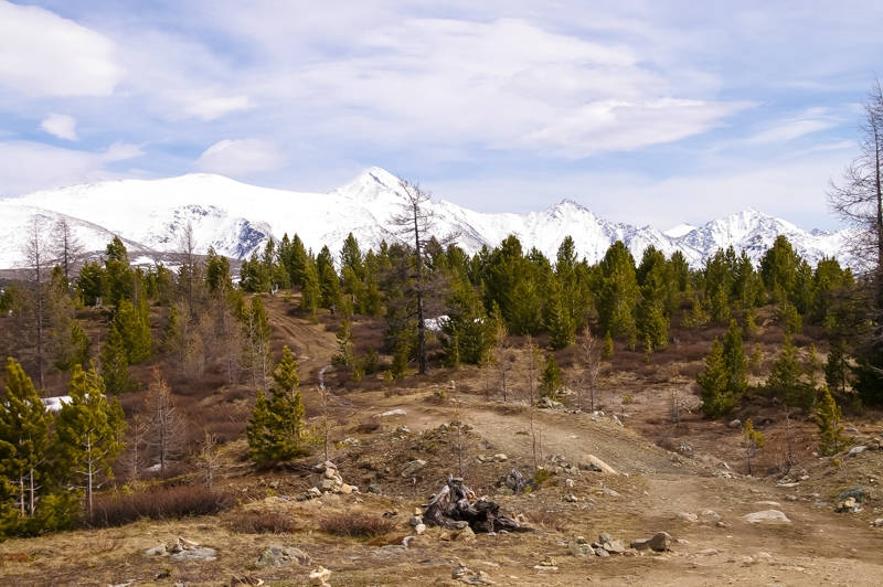 Путешествие по Алтаю на джипах в мае 2014