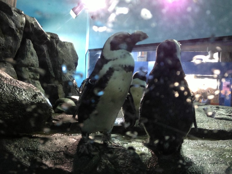 США, Автопутешествие по Западу, Майами, Нью-Йорк. Часть 2