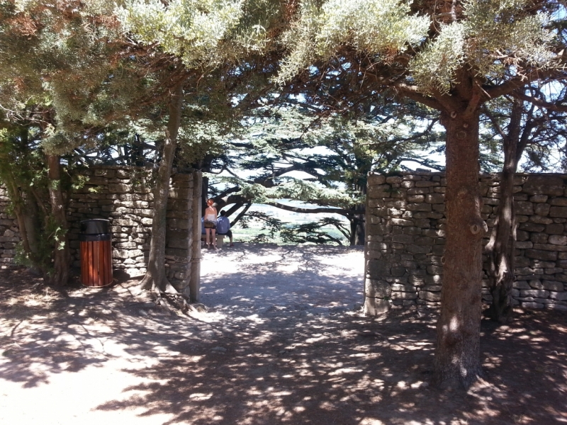 Прованс в июле 2015. Вроде банально, но с загогулиной.