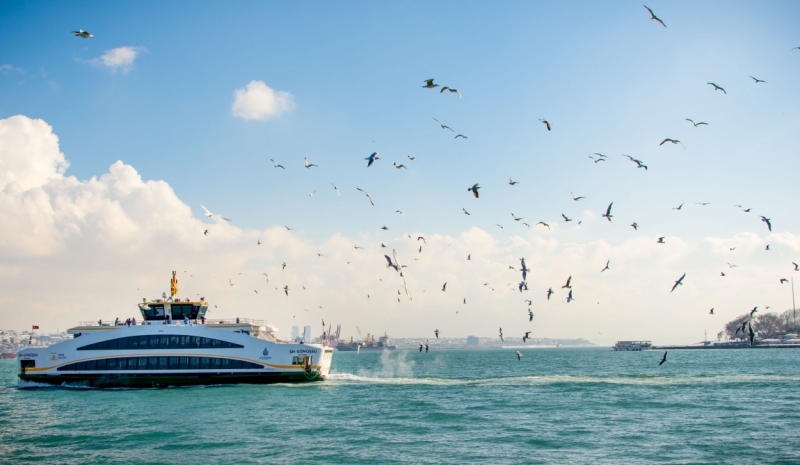 Когда снег в Стамбуле - норма. 2016 новый год