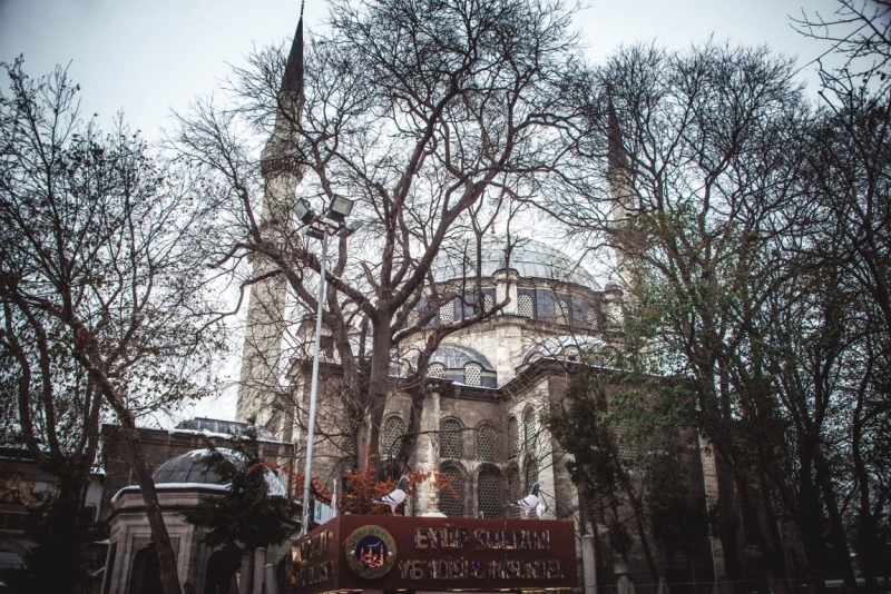 Когда снег в Стамбуле - норма. 2016 новый год