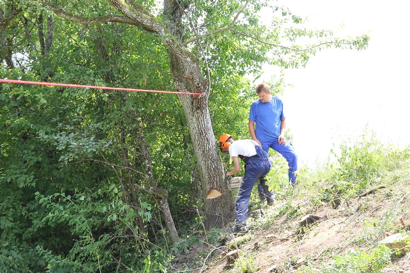 Волонтёрский лагерь в Berglen-Rettersburg 2013