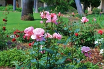 SB Mission Interior 07